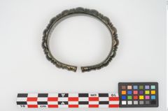 Foto von Bronzearmreif (NHMW-PRAE-025655)